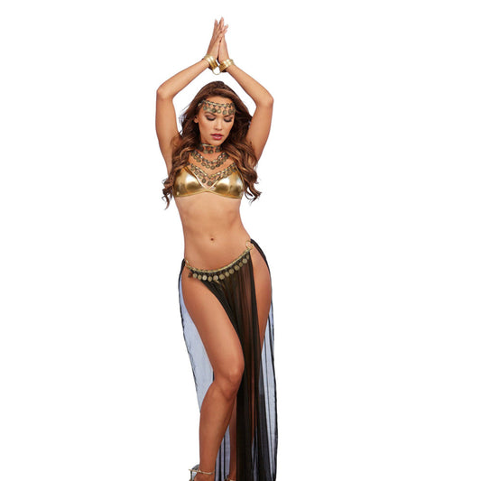 Dreamgirl 3-Piece Gold Lame Halter Bra, Thong, Neck Collar, Chain Leash Costume O/S - Red Garter