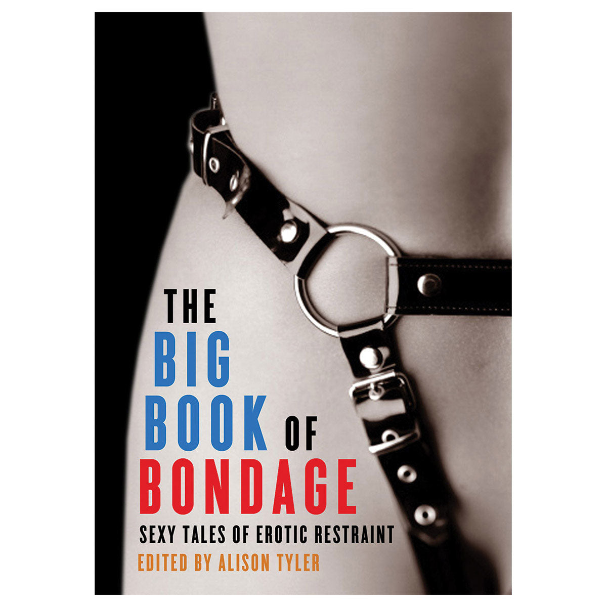The Big Book of Bondage: Sexy Tales of Erotic Restraint - Red Garter